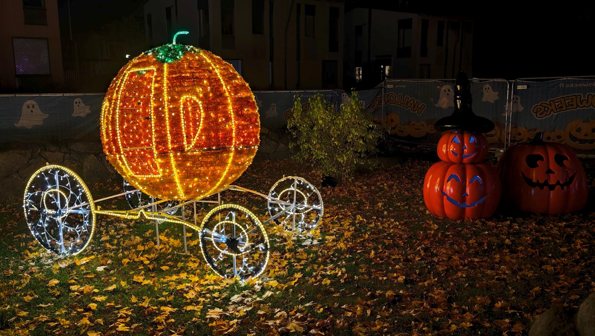 IMG 20251014 191340 copy